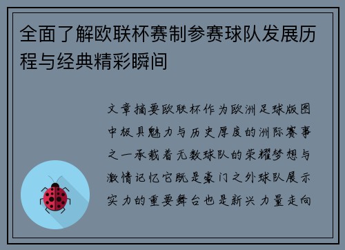 全面了解欧联杯赛制参赛球队发展历程与经典精彩瞬间